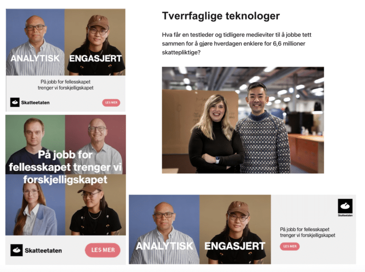 Ulikt innhold for Skatteetaten