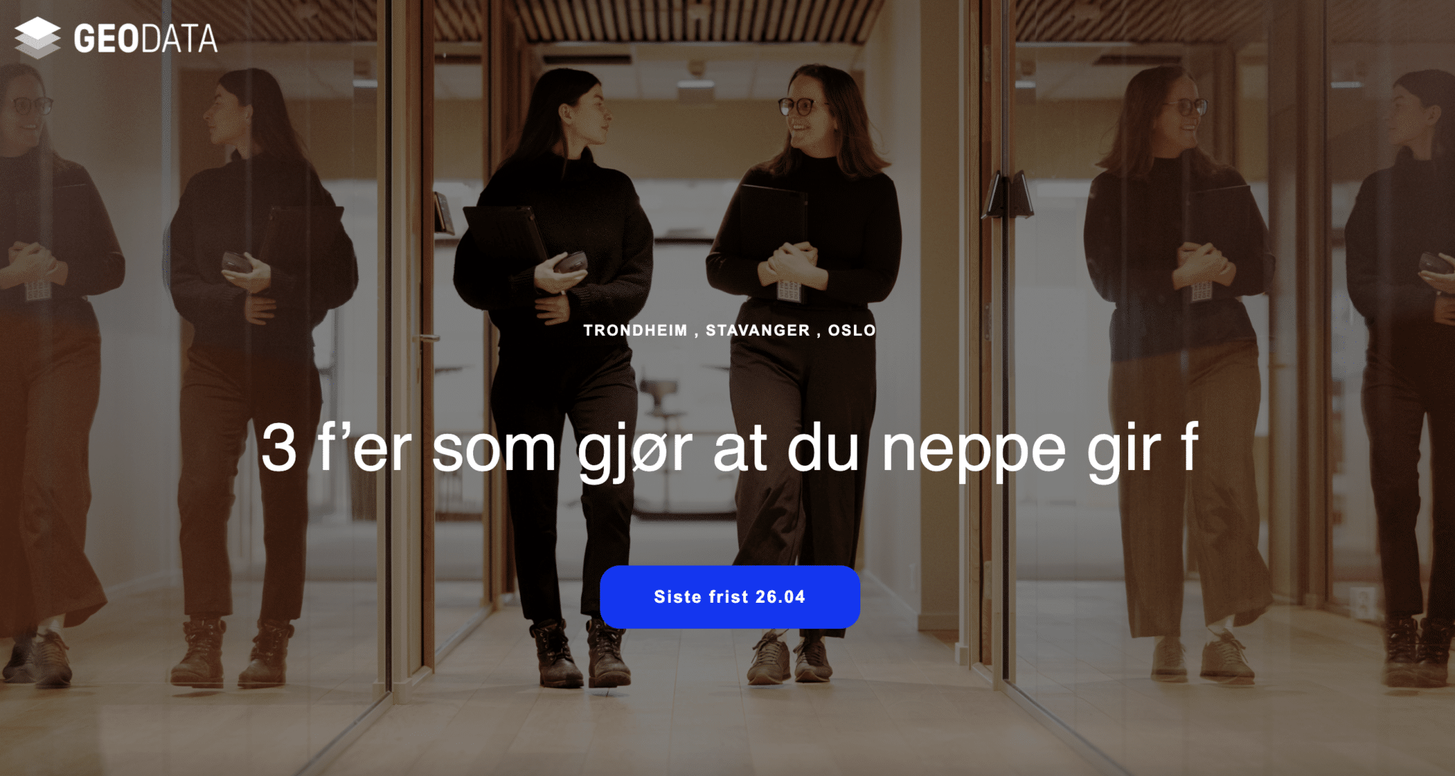 Stillingsannonsen til Geodata